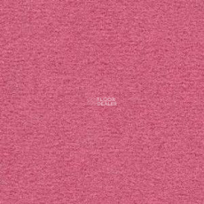 Radici Nexus Pink 8261 фото 1 | FLOORDEALER